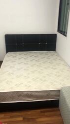 Simei Green Condominium (D18), Condominium #620065541
